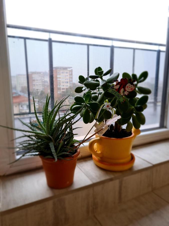 Cozy Apartment Arad Dış mekan fotoğraf
