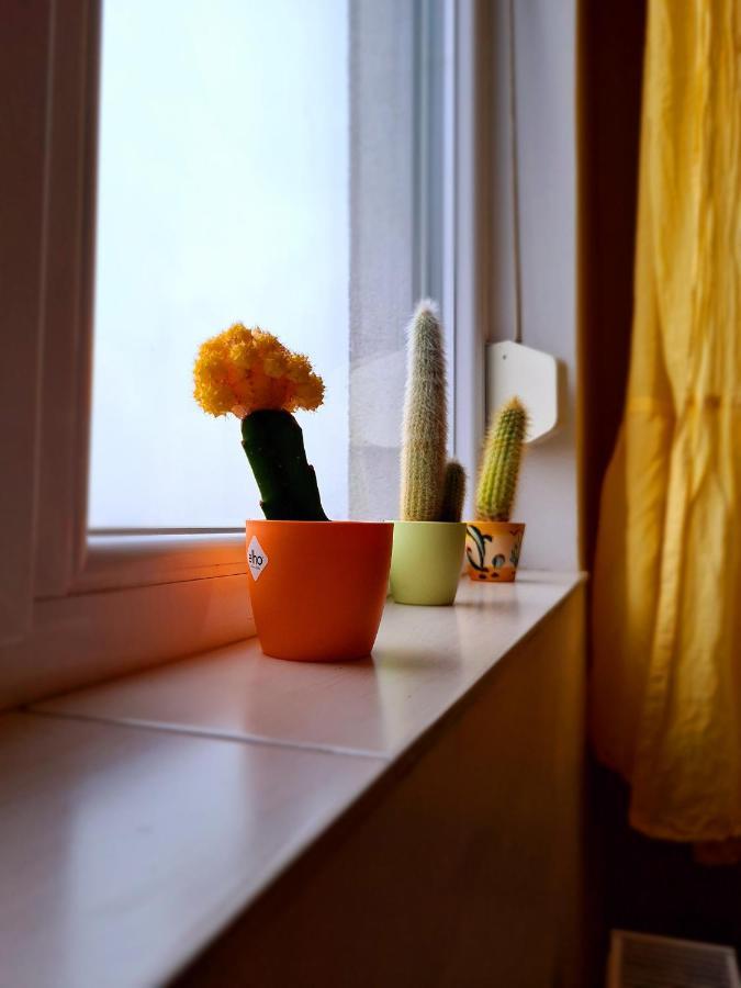 Cozy Apartment Arad Dış mekan fotoğraf