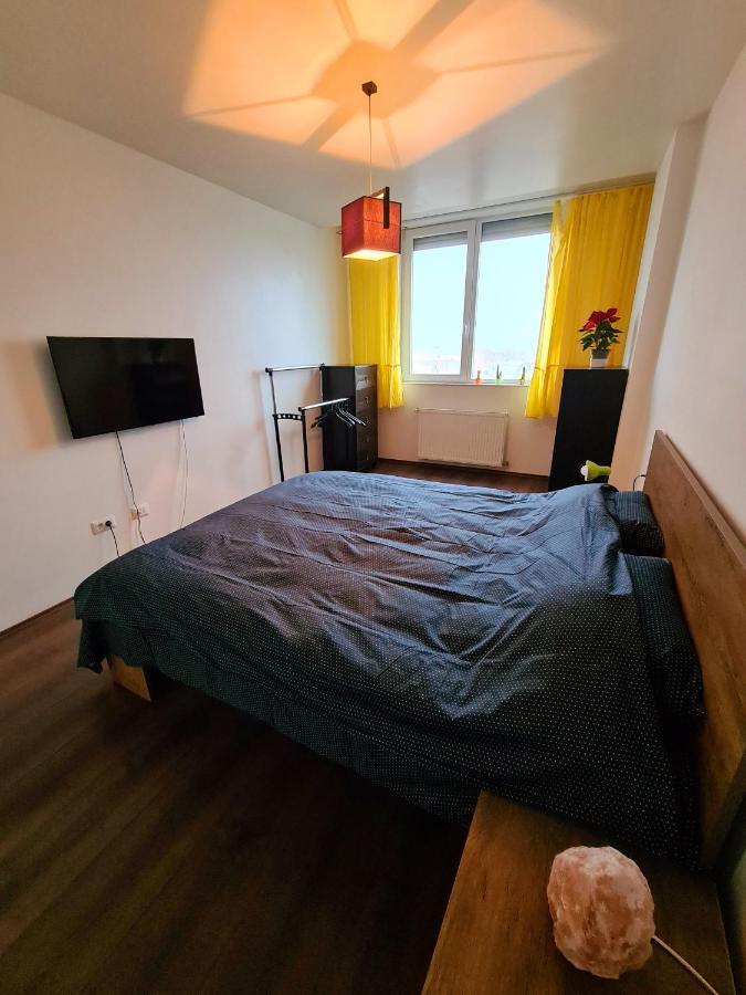 Cozy Apartment Arad Dış mekan fotoğraf
